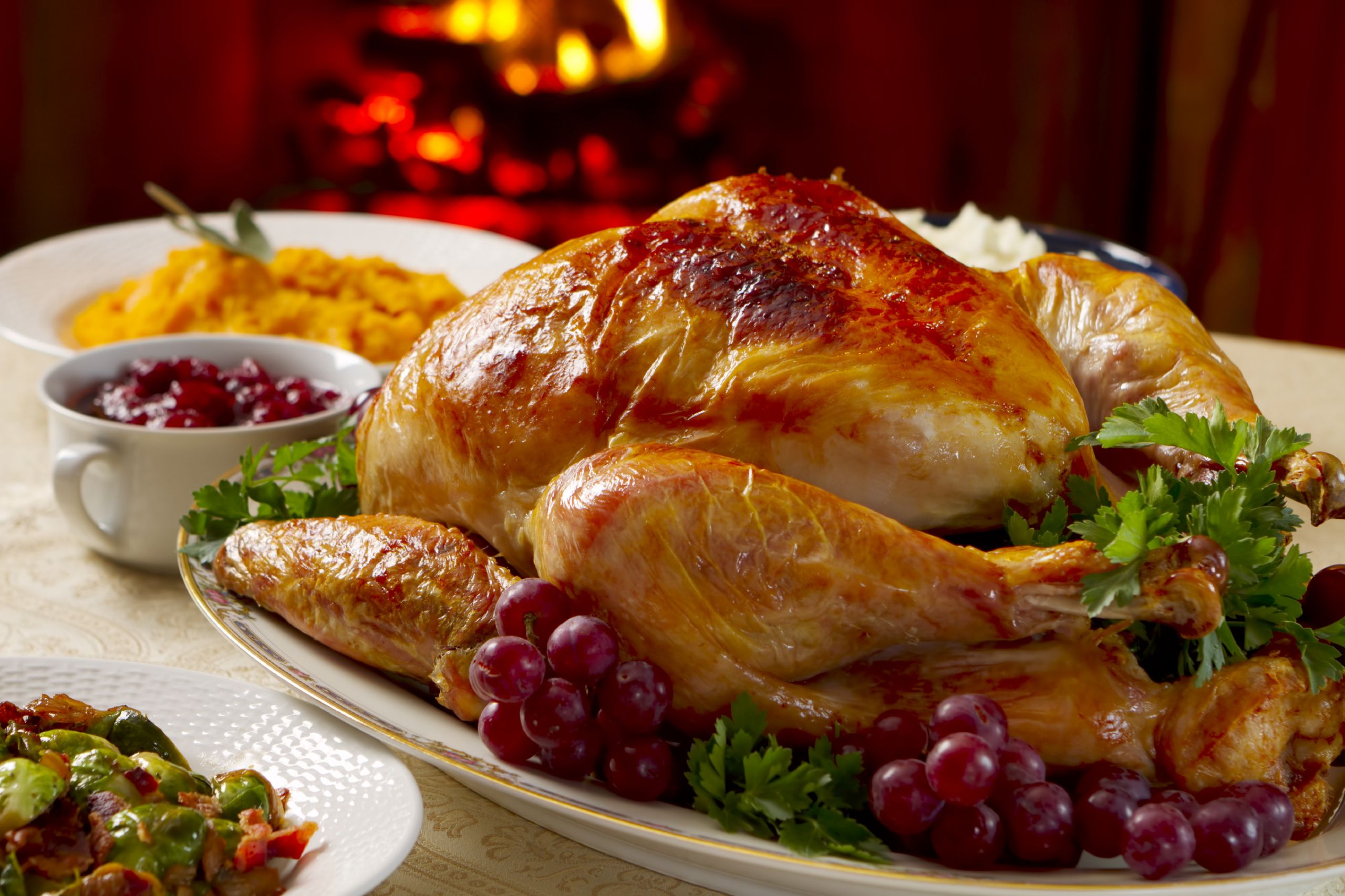 Why Turkey On Thanksgiving
 Does Turkey make you tired