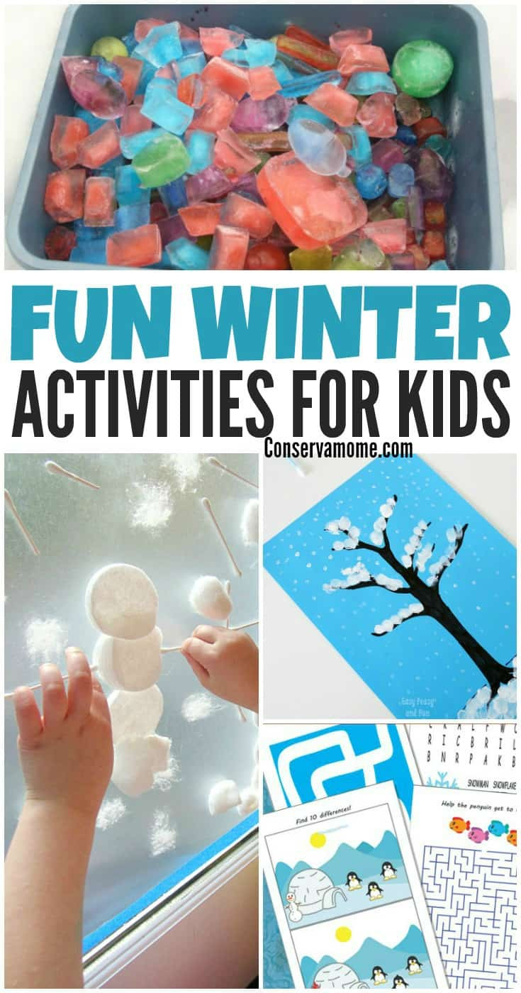 Winter Activities For Kids
 Fun Winter Activities for Kids ConservaMom