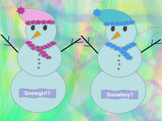 Winter Gender Reveal Party Ideas
 Baby Gender Reveal Party Ideas
