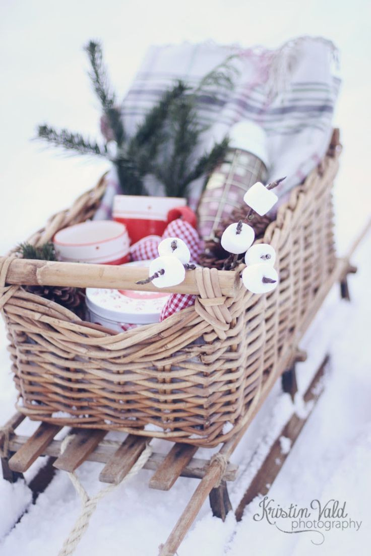 Winter Picnic Ideas
 56 best Winter picnic images on Pinterest