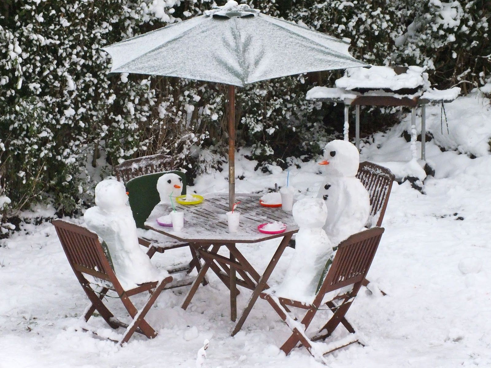 Winter Picnic Ideas
 winter picnics Google Search With images
