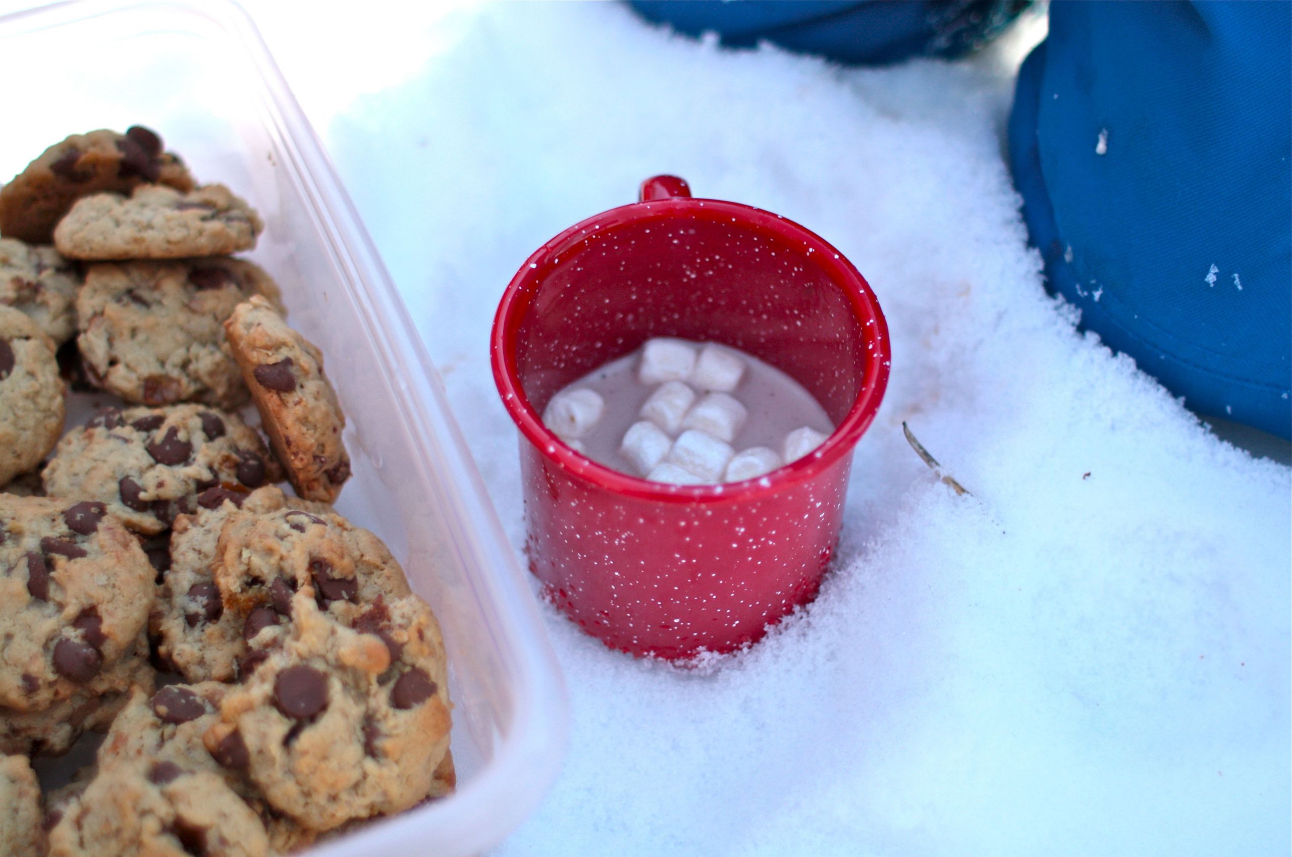 Winter Picnic Ideas
 Ideas and Tips for a Winter Picnic in the Snow