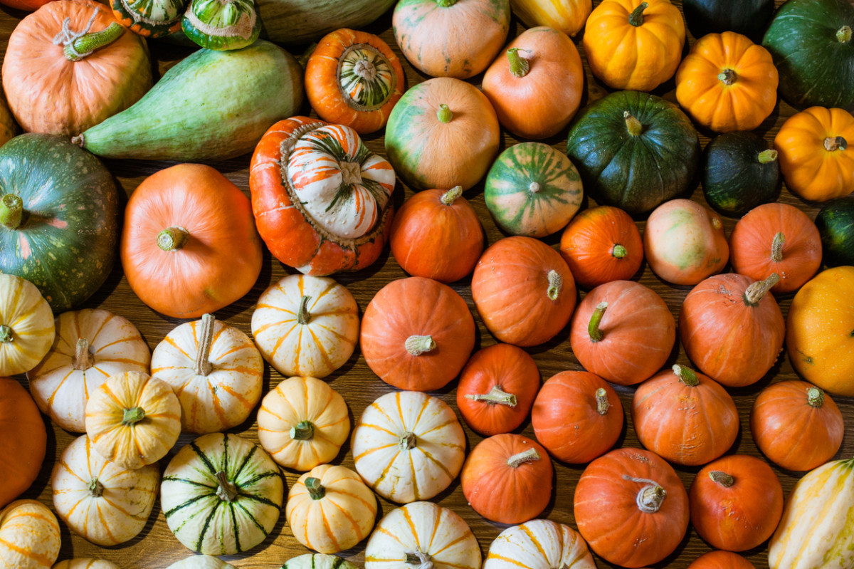 Winter Squash Types
 The 5 Winter Squash Varieties You Need on Your Plate
