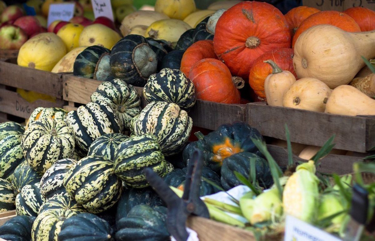 Winter Squash Types
 Winter Squash The Nutrition Source