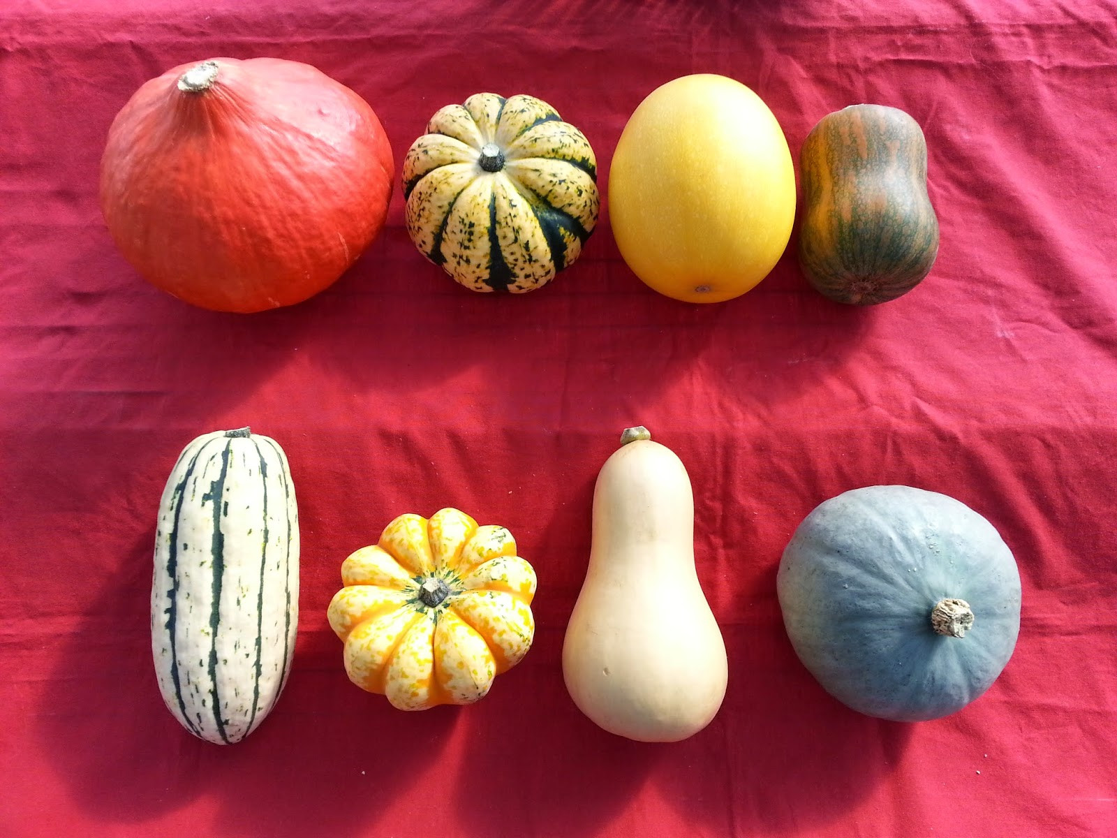 Winter Squash Types
 Harmony Valley Farm Ve able Feature Winter Squash