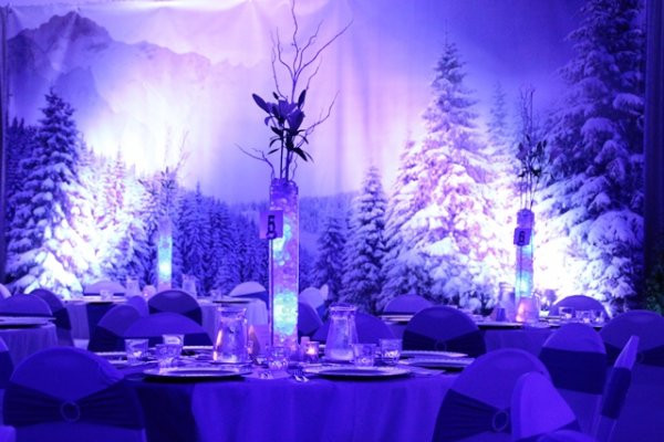 Winter Wonderland Backdrop Ideas
 Event Hire Items