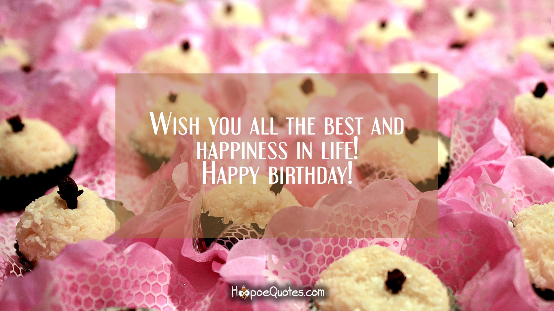 Wishing You A Happy Birthday Quotes
 Wish you all the best and happiness in life Happy
