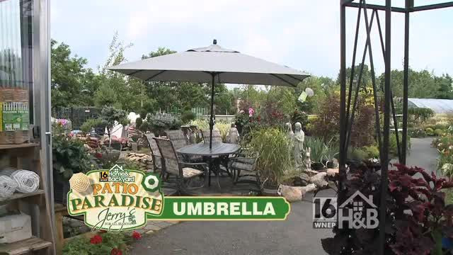 Wnep Home And Backyard Contest
 20 Ideas for Wnep Home and Backyard Best Collections