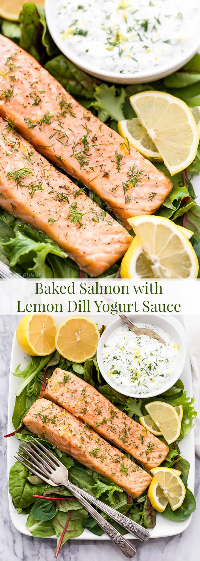 Yogurt Sauces For Salmon
 Baked Salmon with Lemon Dill Yogurt Sauce Recipe Runner