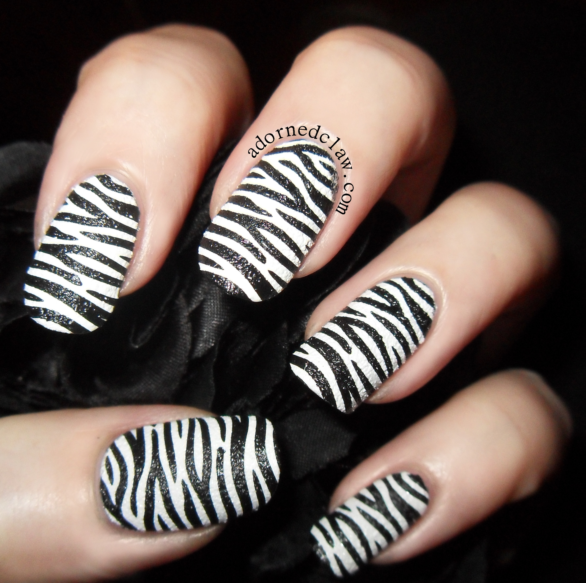 Zebra Nail Art
 zebra