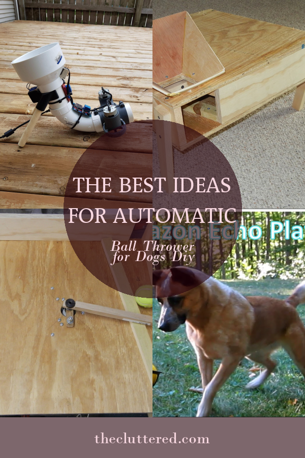 Automatic Ball Thrower For Dogs DIY
 The Best Ideas for Automatic Ball Thrower for Dogs Diy Home Family