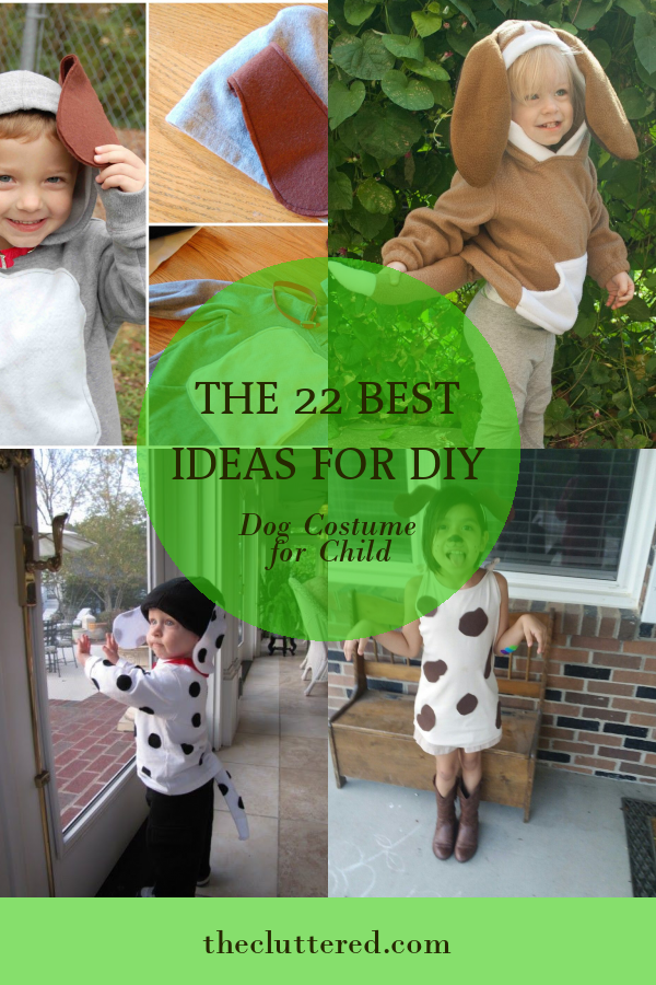 The 22 Best Ideas for Diy Dog Costume for Child - Home, Family, Style ...