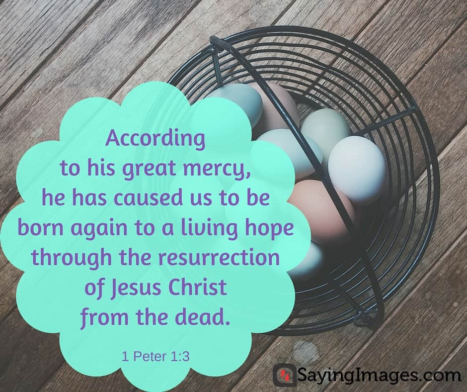 Bible Quotes For Easter
 22 Easter Bible Verses For a Sunday of Redemption