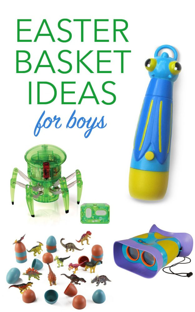 Boys Easter Basket Ideas
 Top 10 Classic Easter Basket Filler Ideas for Little Boys