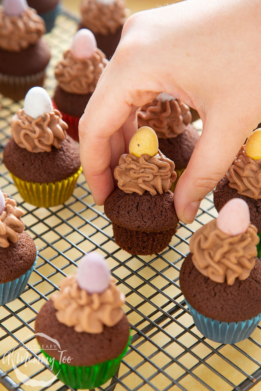 Cupcakes For Easter
 Mini chocolate cupcakes perfect for Easter A Mummy Too