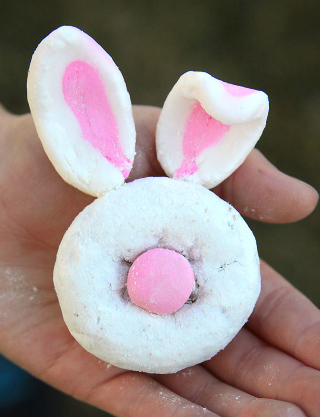 Cute Easter Picture Ideas
 25 Cute Easter Bunny Ideas Crafts Treats & More Crazy