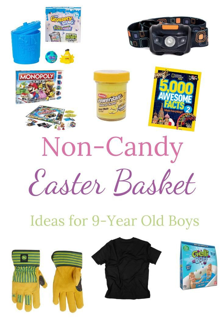 Easter Basket Ideas For 12 Year Old Boy
 Non Candy Easter Basket Ideas for 9 Year Old Boys