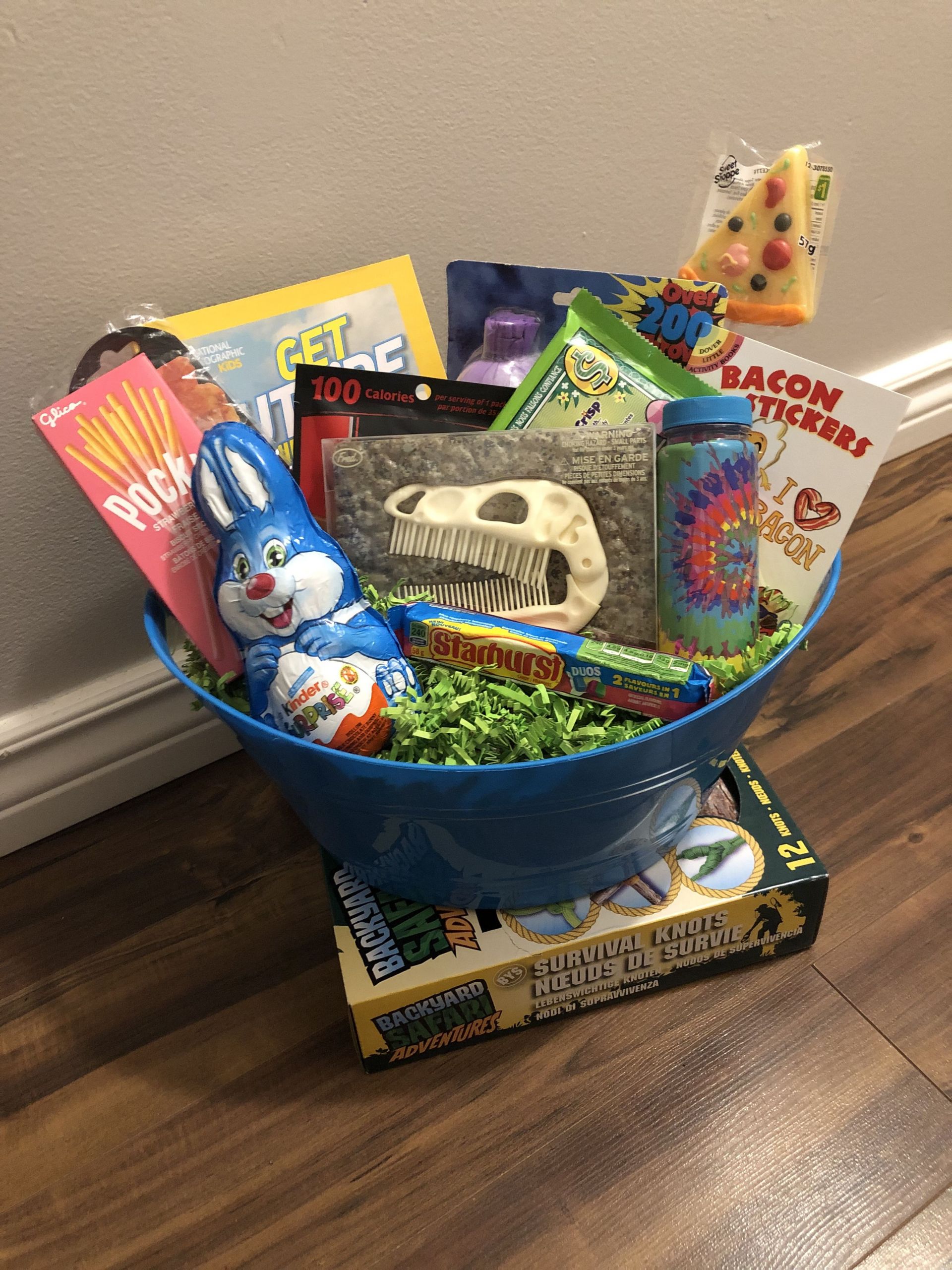 Easter Basket Ideas For 12 Year Old Boy
 26 Easter Basket Ideas For 10Yr Old Boy – AUNISON