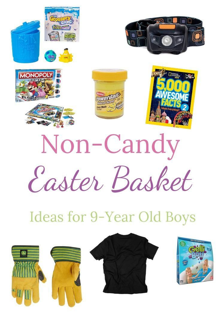 Easter Basket Ideas For 9 Year Old Boy
 Non Candy Easter Basket Ideas for 9 Year Old Boys
