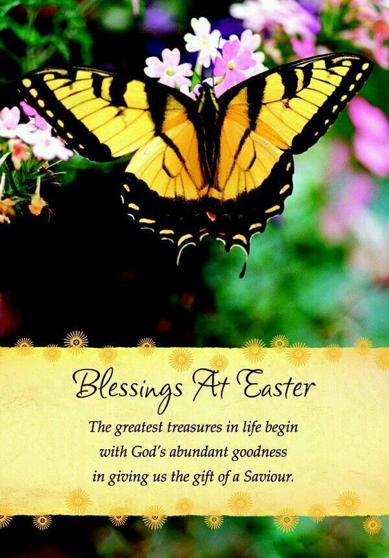 Easter Blessings Quotes
 Blessings At Easter s and for