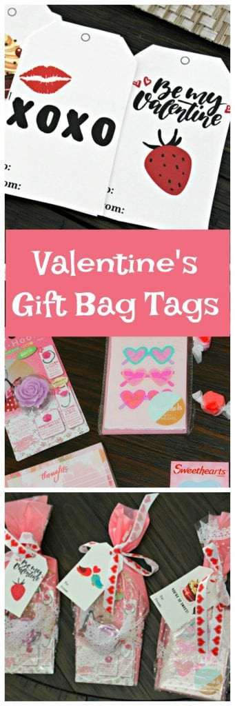 Valentine Gift Bags Ideas
 Valentines Gift Bag Ideas Organized Island