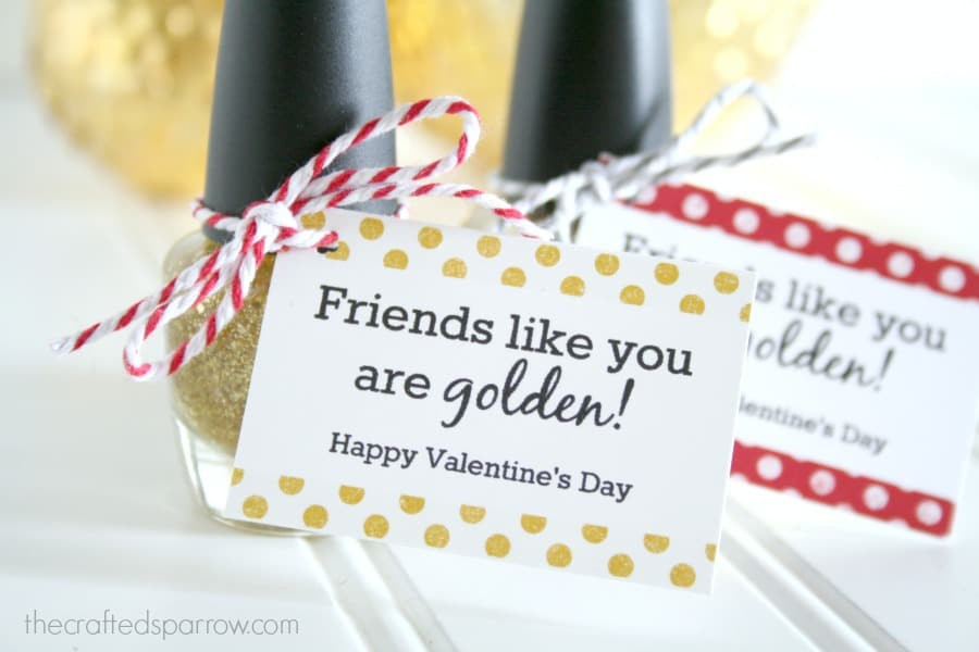 Valentine Gift Ideas For Teens
 10 Great Valentine s Gift Ideas for Teens and Tweens Mom 6