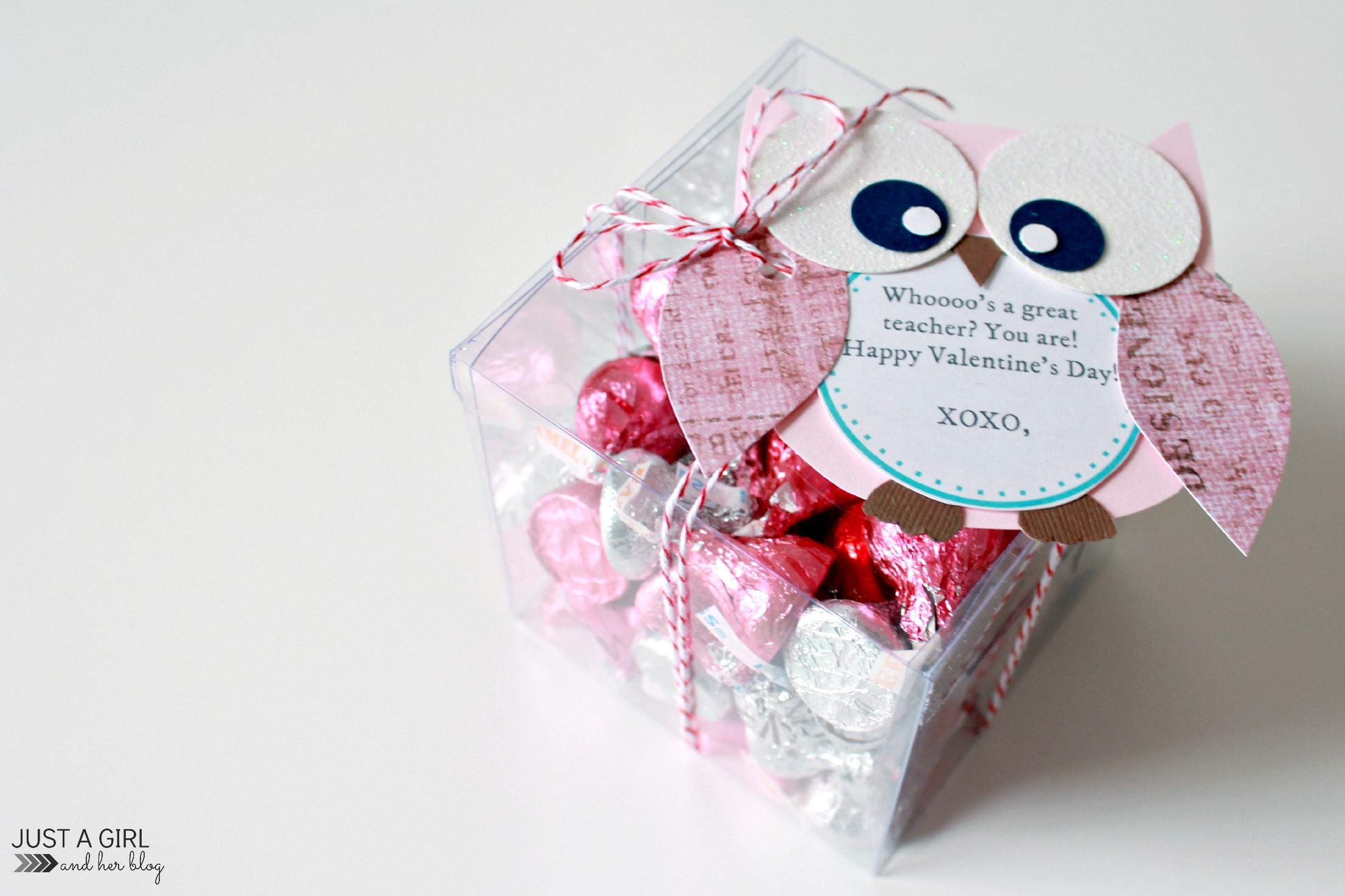 Valentine Teacher Gift Ideas
 Owl Valentine Teacher Gift