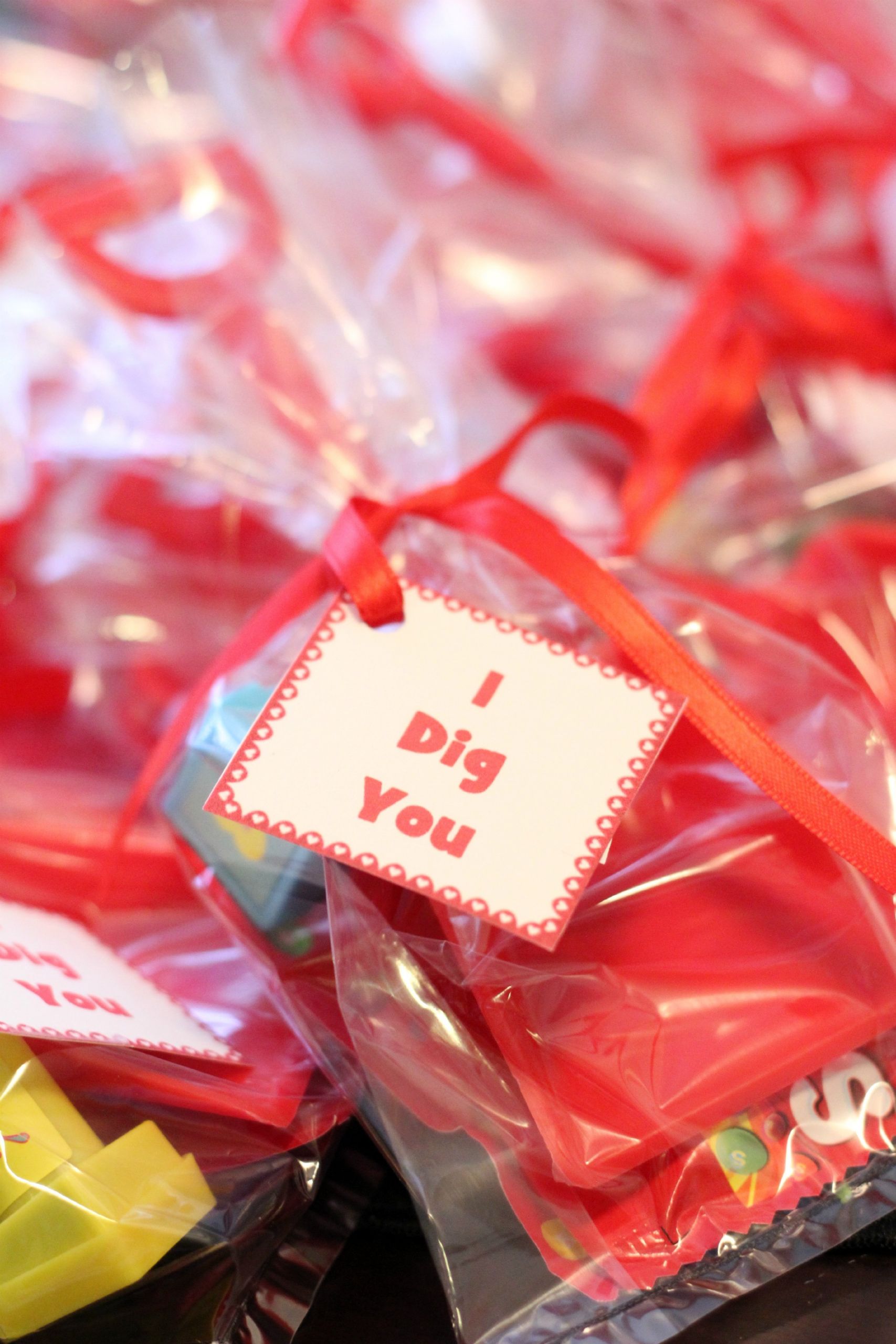 Valentine'S Day Gift Bag Ideas
 Valentine Goo Bags