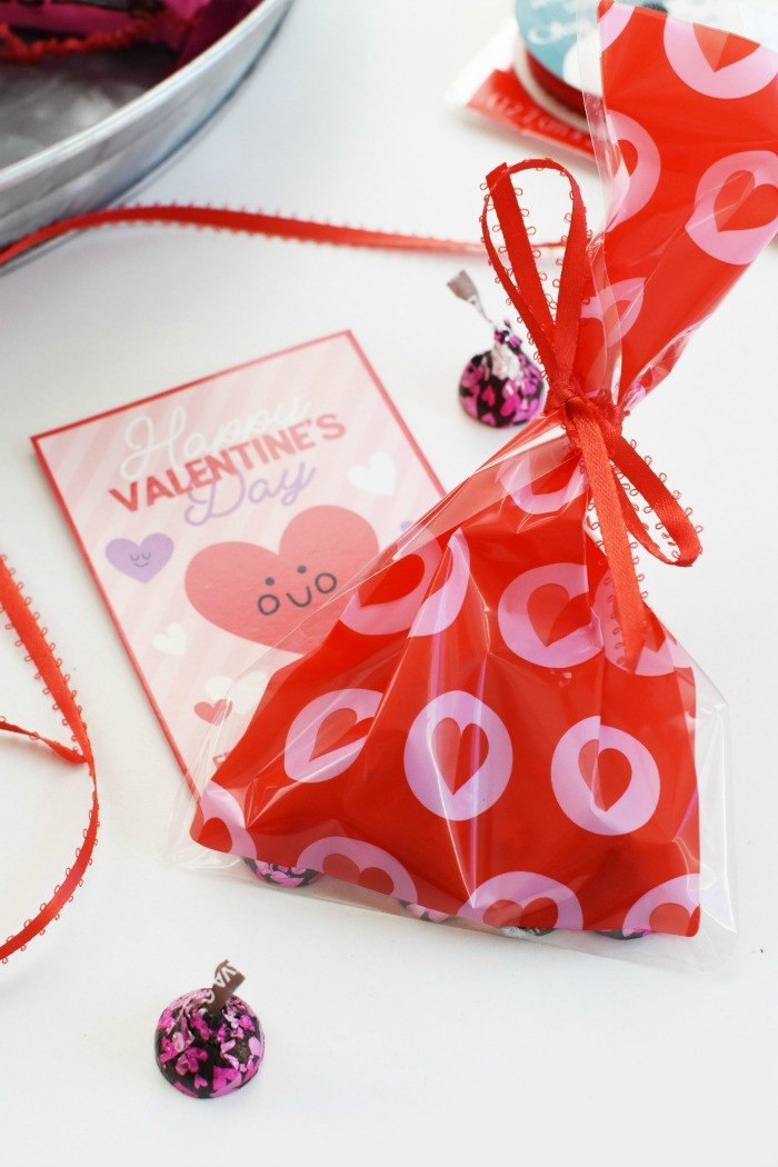 Valentines Day Goodie Bag Ideas
 Cute Homemade Valentines Day Gift Ideas Inexpensive and