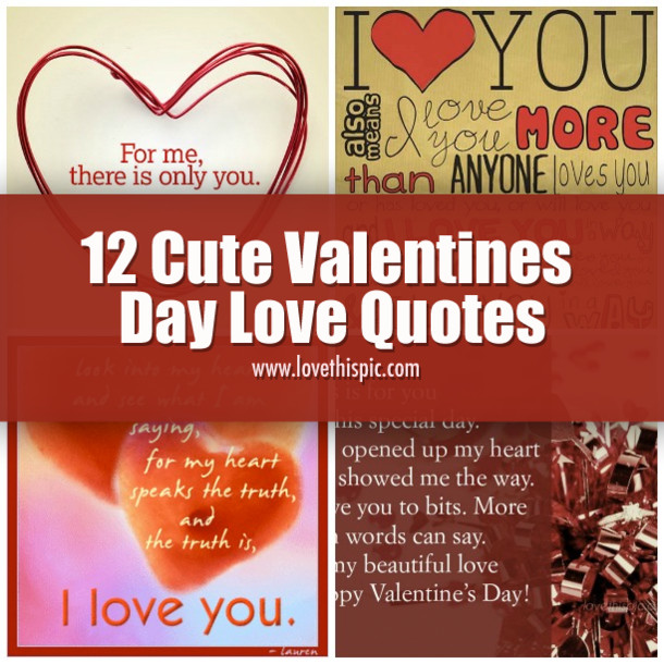 Valentines Day Love Quotes
 12 Cute Valentines Day Love Quotes