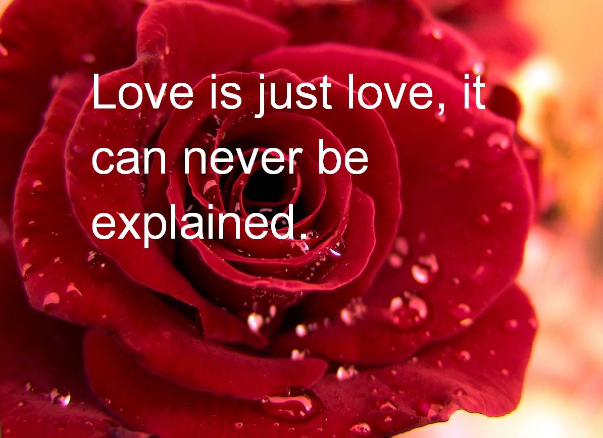 Valentines Day Love Quotes
 20 Best Valentines Day Quotes