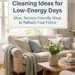 15 Gentle Spring Cleaning Ideas for Low-Energy Days